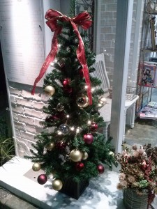 クリスマスツリーが来たよ!!