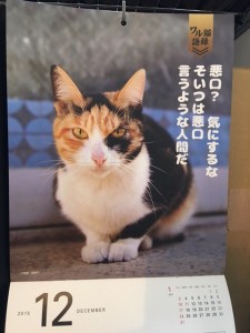 ワル猫語録