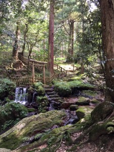 涼を求めて