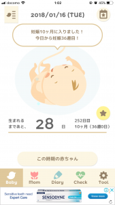 臨月になりました☆