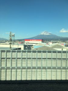 遅ればせながら、、。