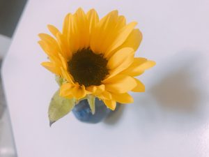 夏。。。秋の準備♪
