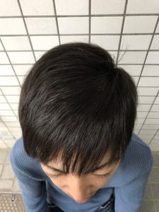 お仕事向け♪