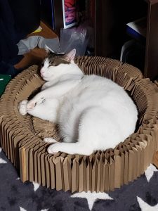 お休みありがとうございました♪