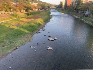 金澤in金沢(笑)