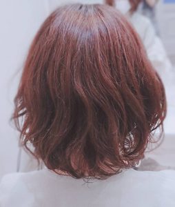 本日のお客様