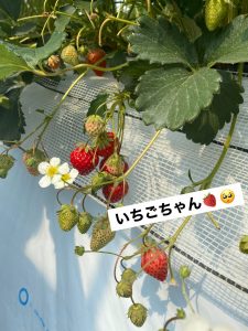 お休みの日に☆