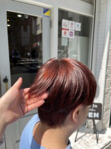 コーラル☆彡