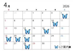 【4月Schedule☆彡valentine朝海】