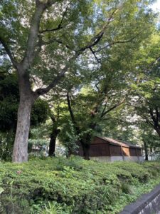 カラーのチェック日でした