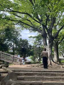 休日は公園へ