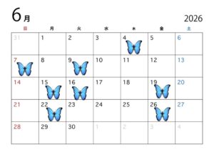 【6月スケジュール☆ミ】