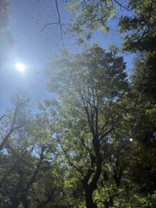 １０月１日　晴れ